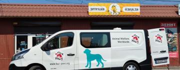 В Килии волонтеры благотворительного фонда “Четыре лапы” начали стерилизовать бродячих животных